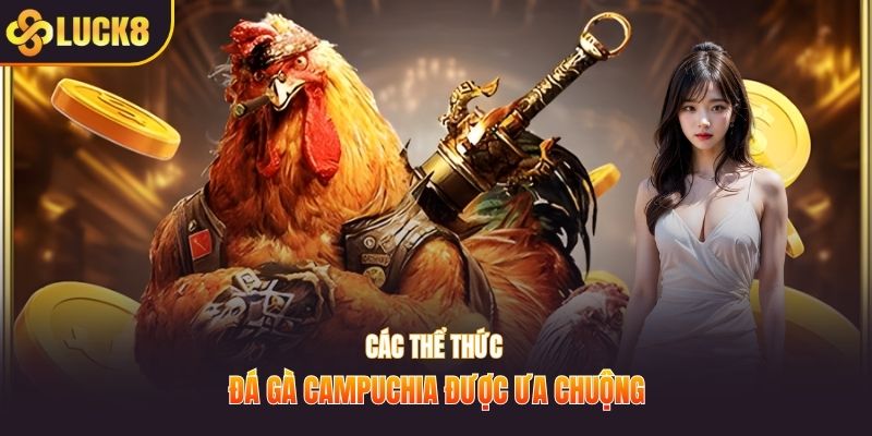 Các thể thức đá gà Campuchia được ưa chuộng