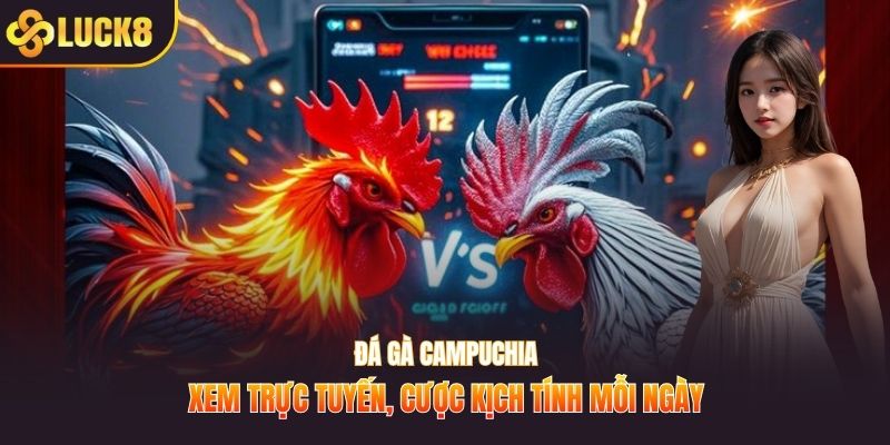 Đá gà Campuchia