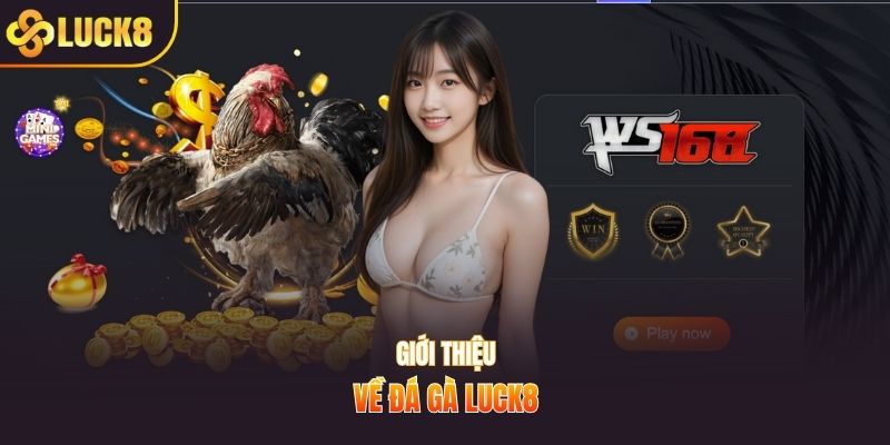 Giới thiệu về đá gà LUCK8