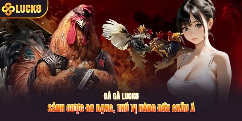 Đá gà Luck8
