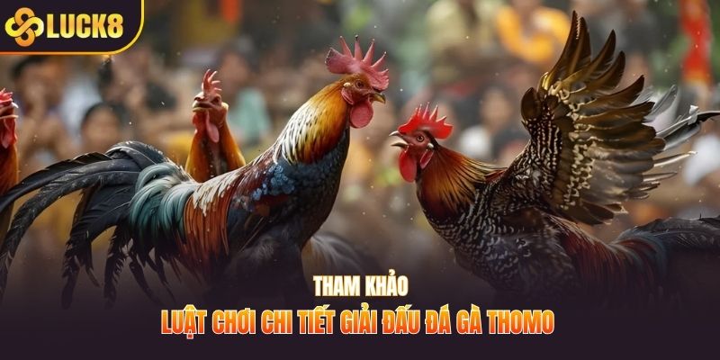 Tham khảo luật chơi chi tiết giải đấu đá gà thomo 