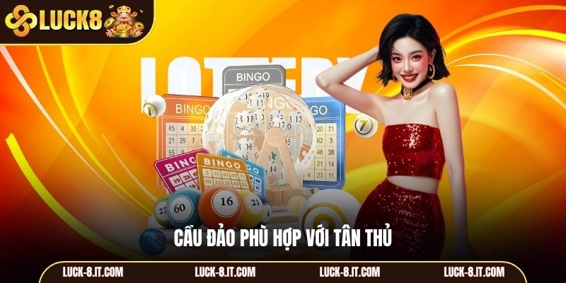 Cầu đảo phù hợp với tân thủ